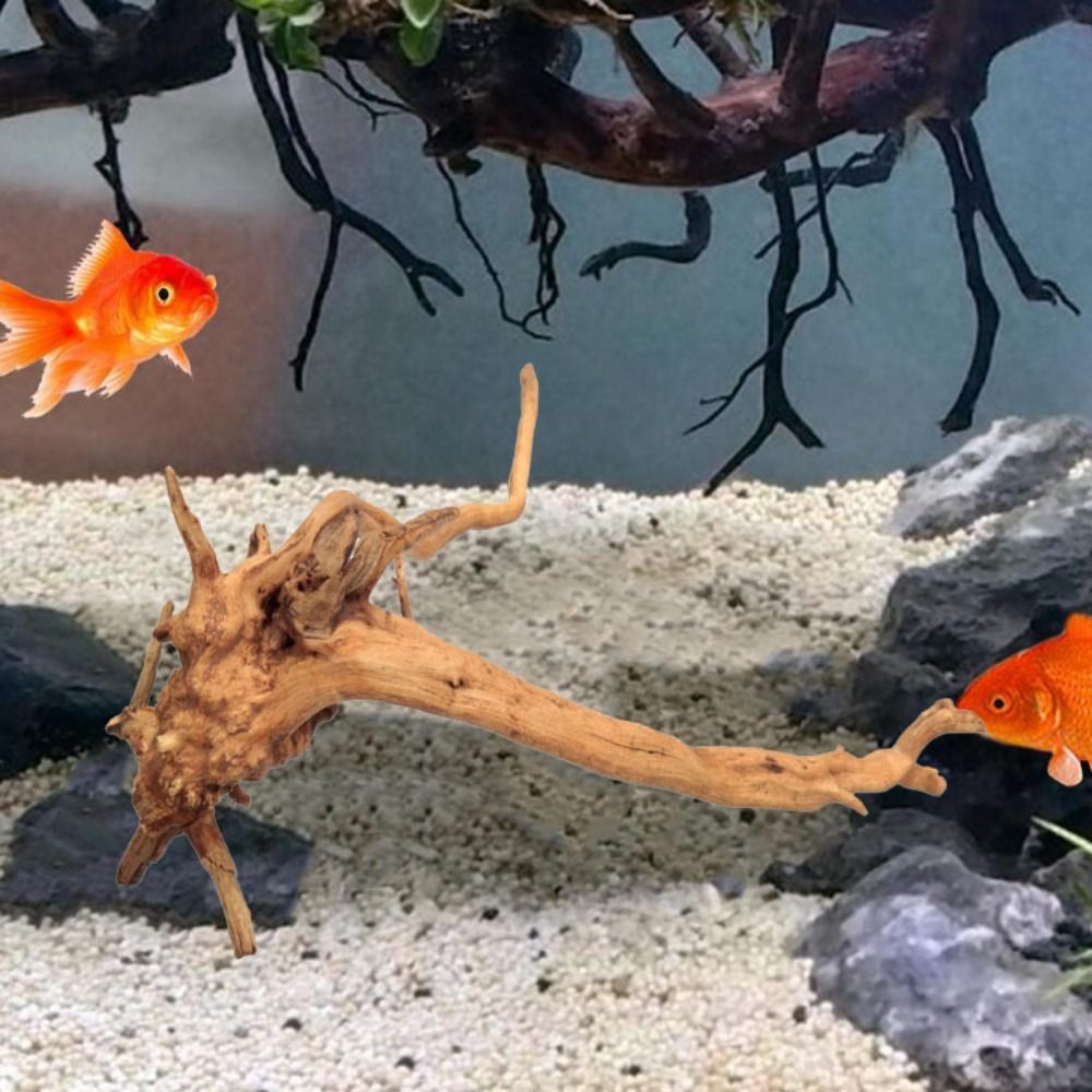 20-25CM大型水槽流木天然魚タンク植物装飾ツリーフィッシ - Planted Aquarium Bowl のレビューと価格