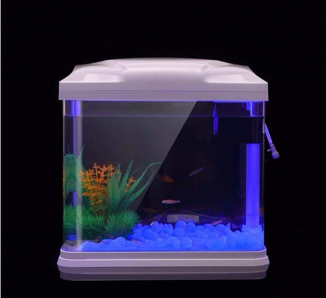水槽岩グローブルー小石庭用水槽水族館植木鉢盆栽歩道私道 - Planted Aquarium With Rocks のレビューと価格