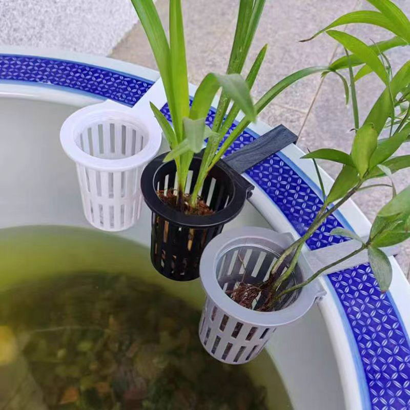 1/3 個水族館植物バスケット壁掛け水耕吊りプランター水槽水 - Aquarium Planted Wall のレビューと価格