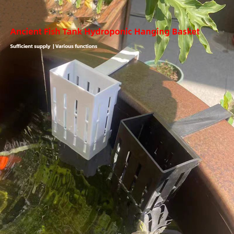 1/3 個水族館植物バスケット壁掛け水耕吊りプランター水槽水 - Aquarium Planted Wall のレビューと価格