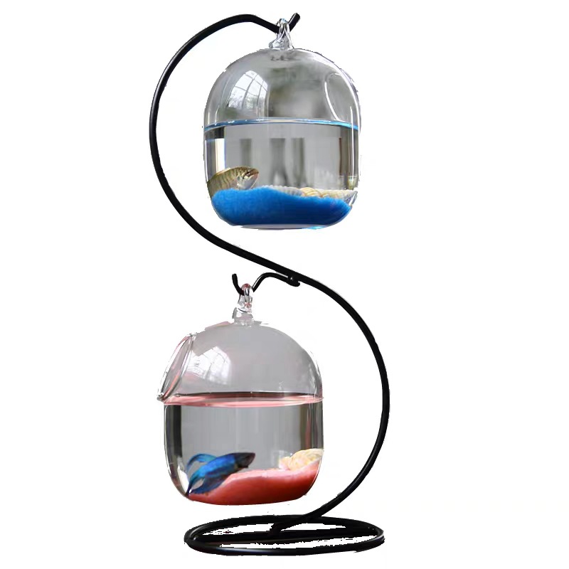 水族館用の透明なサスペンションガラス,花の植物が付いたダブル - Planted Aquarium Bowl のレビューと価格