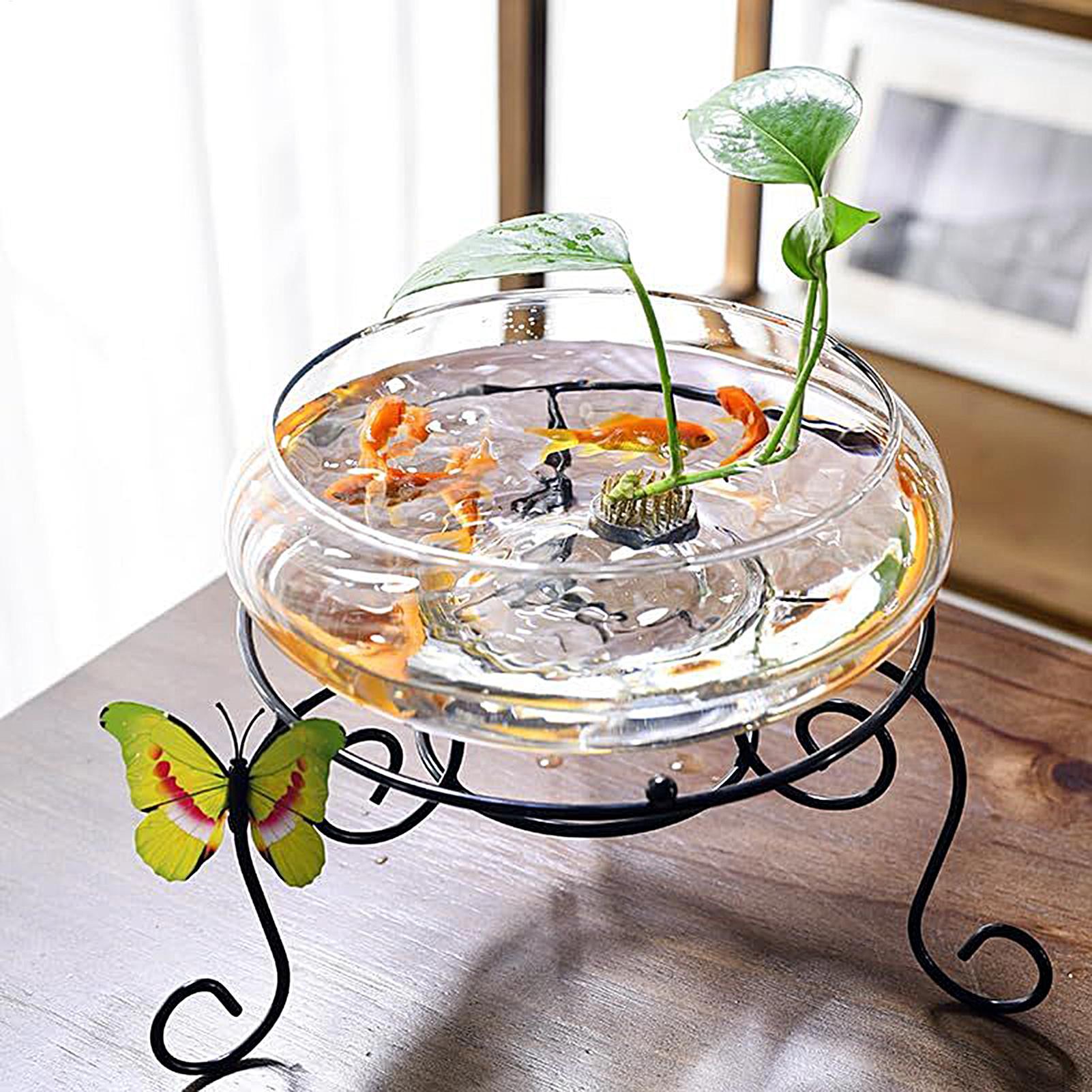 魚用ガラスボウル ガラス製大型水耕栽培フラワーポット 浅い丸 - Planted Aquarium Bowl のレビューと価格