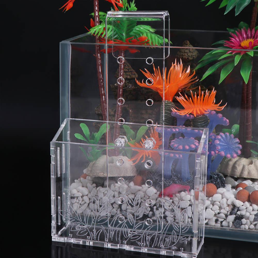 壁掛け水槽植物カップ 透明アクリル製水生植物プランターホルダ - Aquarium Planted Wall のレビューと価格