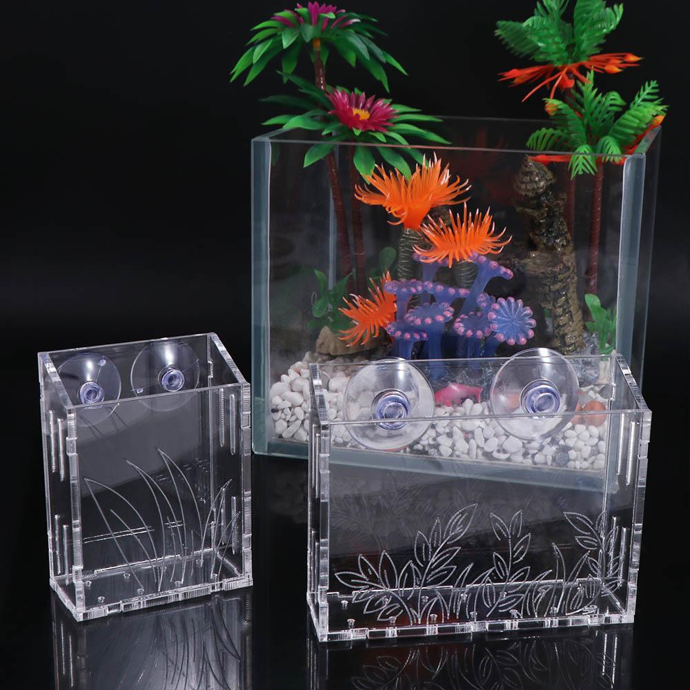 壁掛け水槽植物カップ 透明アクリル製水生植物プランターホルダ - Aquarium Planted Wall のレビューと価格
