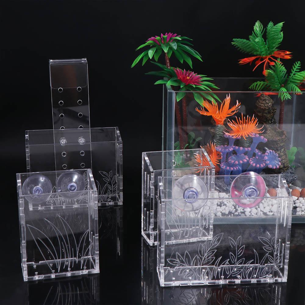 壁掛け水槽植物カップ 透明アクリル製水生植物プランターホルダ - Aquarium Planted Wall のレビューと価格