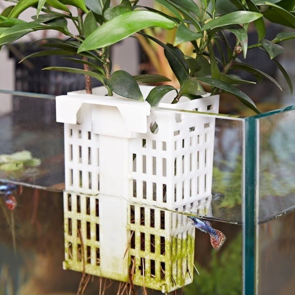 壁掛け水生植物ホルダー多用途プラスチック水槽植物ホルダー伸縮 - Aquarium Planted Wall のレビューと価格