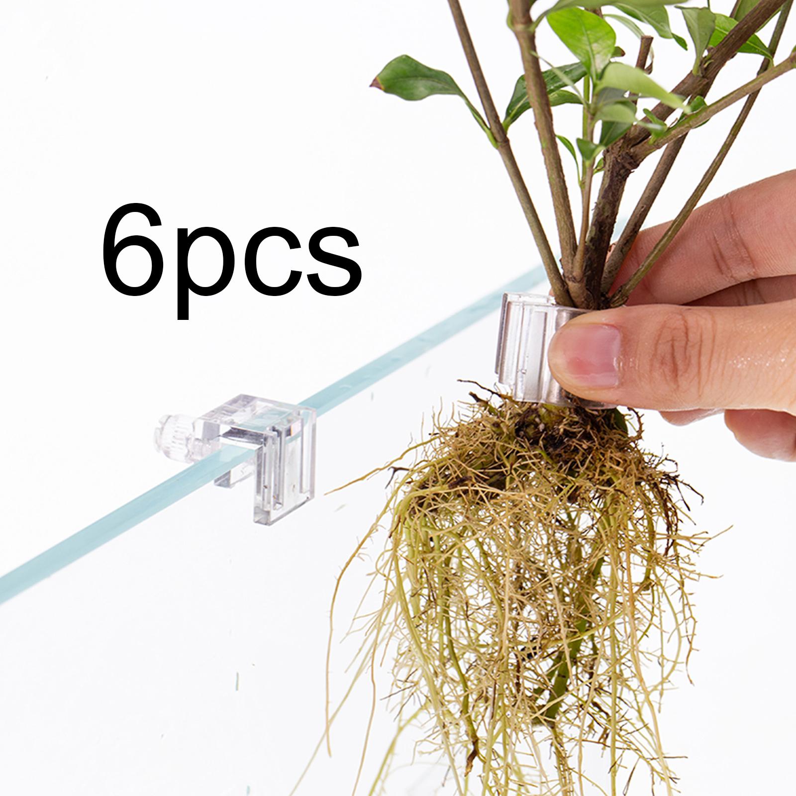 耐久性のある透明な水槽壁掛け植物ホルダー、水生植物用PCカッ - Aquarium Planted Wall のレビューと価格