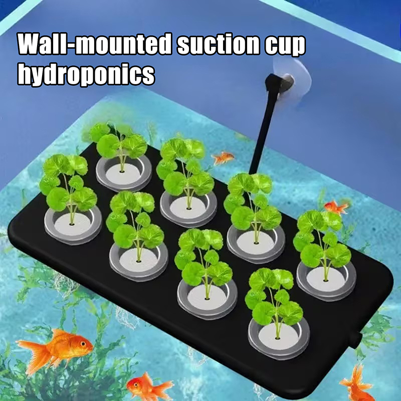 水槽用フローティング水耕栽培キット 壁掛け式吸盤 土を使わな - Aquarium Planted Wall のレビューと価格