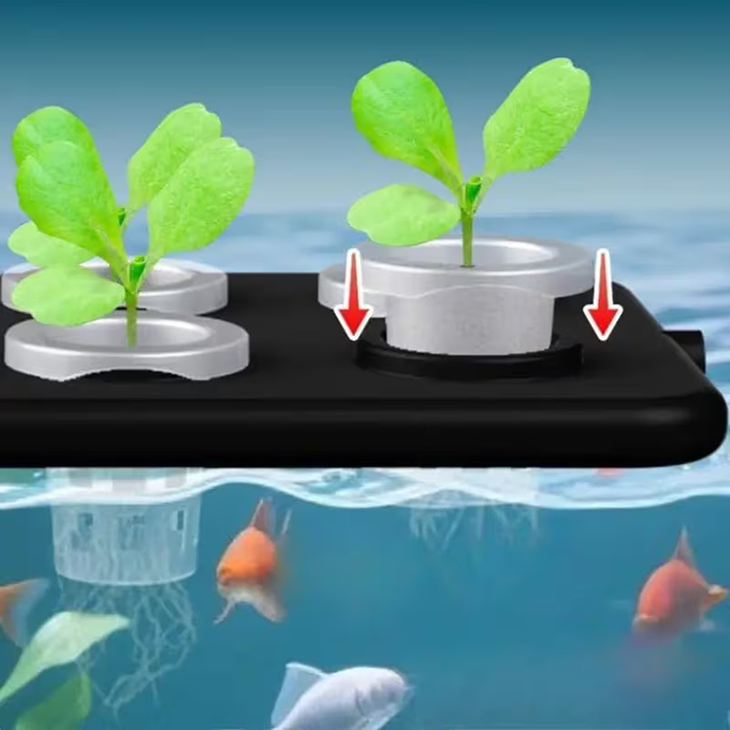 水槽用フローティング水耕栽培キット 壁掛け式吸盤 土を使わな - Aquarium Planted Wall のレビューと価格