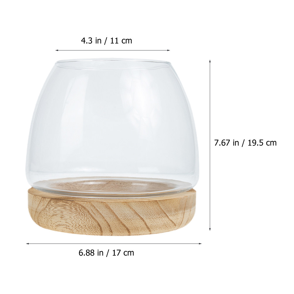 木製ベースのガラス製水耕栽培プランター花瓶1セット、デスクト - Planted Aquarium Bowl のレビューと価格