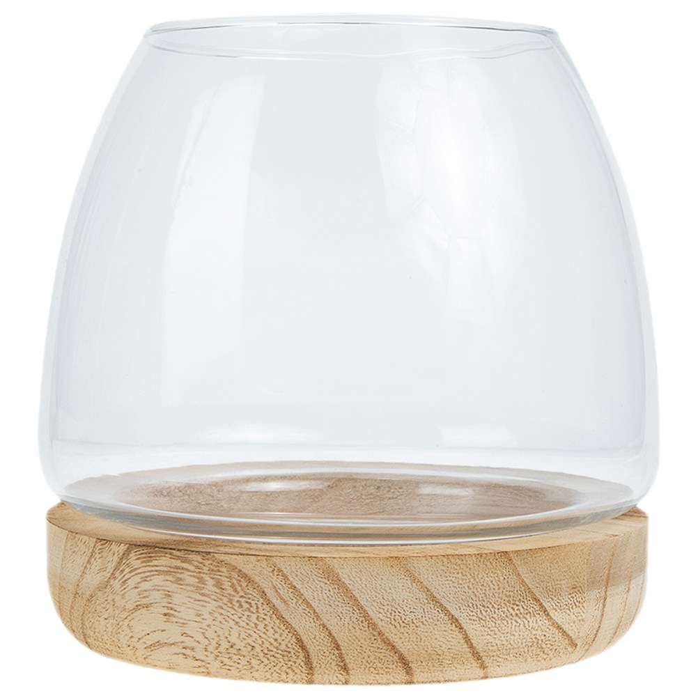木製ベースのガラス製水耕栽培プランター花瓶1セット、デスクト - Planted Aquarium Bowl のレビューと価格