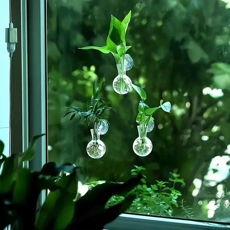 創造的な半円形の壁掛け花瓶、フラワープレート、植物水耕栽培水 - Aquarium Planted Wall のレビューと価格