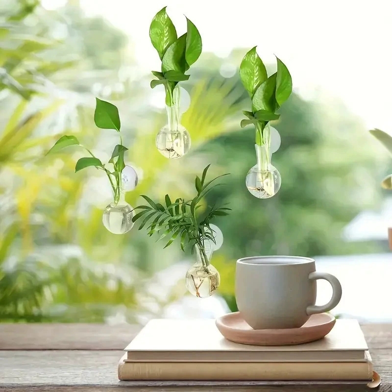 創造的な半円形の壁掛け花瓶、フラワープレート、植物水耕栽培水 - Aquarium Planted Wall のレビューと価格